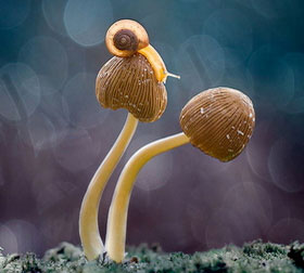 全天发货的在线轰炸电话软件版